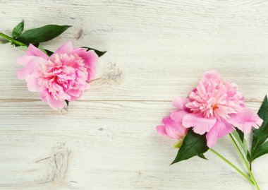 Şakayık çiçekleri ahşap yüzey üzerinde