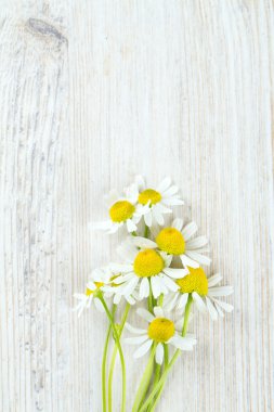 ahşap yüzey üzerinde papatya çiçekler