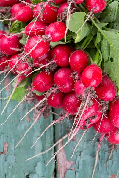 Färska rädisor på träytan — Stockfoto