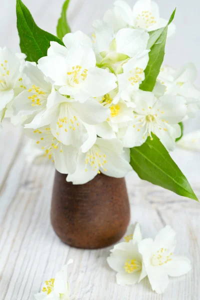 Flores de jazmín en la superficie de madera —  Fotos de Stock