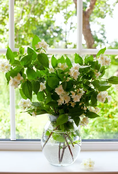 窓枠にジャスミンの花束 — ストック写真
