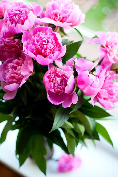 Pink peonies on window-sill — Stock Photo, Image