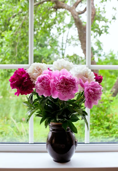 Florero con peonías de colores en el alféizar de la ventana — Foto de Stock