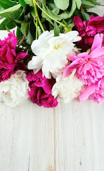 Pivoines colorées sur surface en bois blanc — Photo