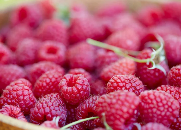 Framboises Dans Bol Bois Dans Jardin — Photo