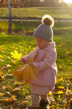 Küçük kız parkta sonbahar yaprakları topluyor.