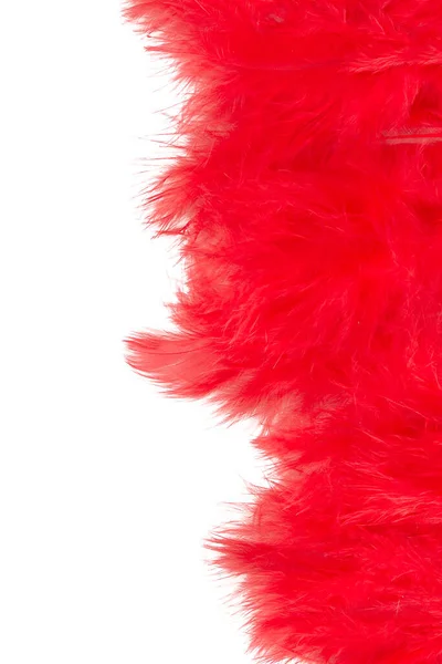 Plumes Rouges Isolées Sur Fond Blanc — Photo