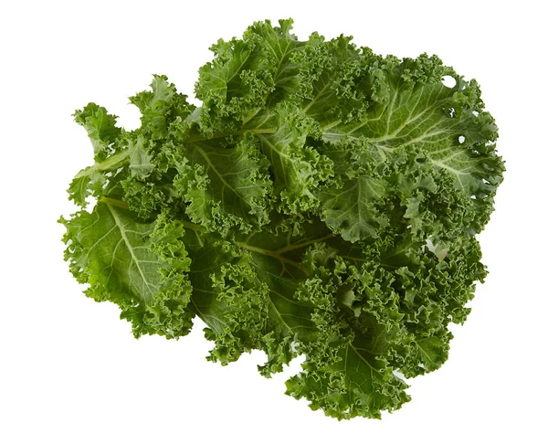 Fresh Kale Isolated White Background — Stock Photo, Image