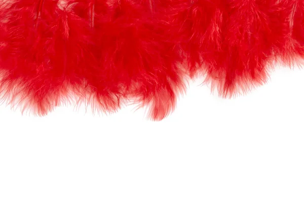 Rote Federn Isoliert Auf Weißem Hintergrund — Stockfoto