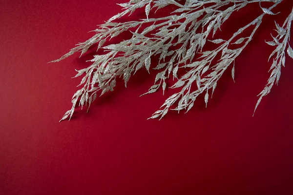 赤い背景に美しい銀のタグ — ストック写真