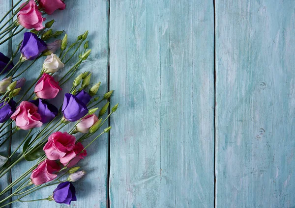 Eustoma Sobre Superficie Madera Turquesa —  Fotos de Stock