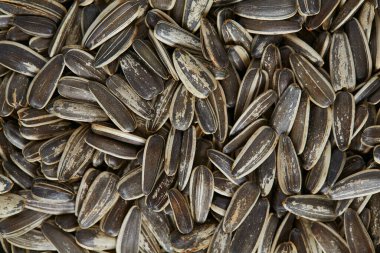 Bir yığın taze kavrulmuş ayçiçeği çekirdeği.