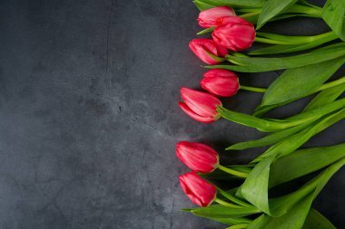 Siyah taş yüzeyde pembe laleler