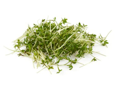 Fresh Watercress isolated on white background clipart
