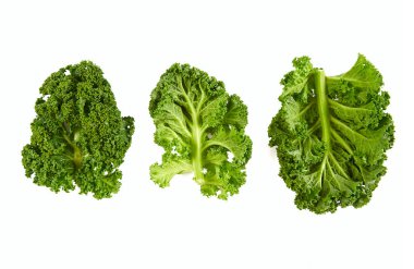 Beyaz arka planda taze lahana