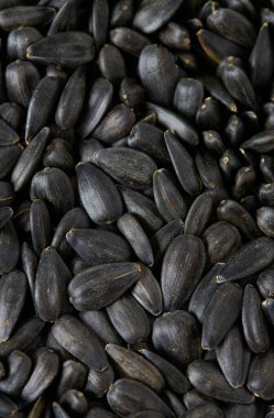 Bir yığın taze kavrulmuş ayçiçeği çekirdeği.