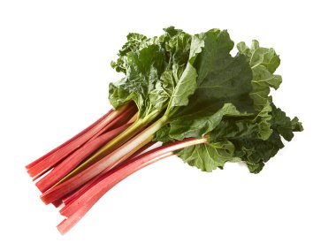 beyaz arka planda izole edilmiş rubarb sapları