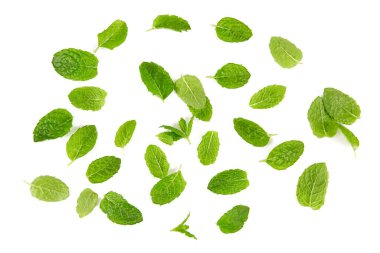 beyaz arkaplanda izole edilmiş taze nane