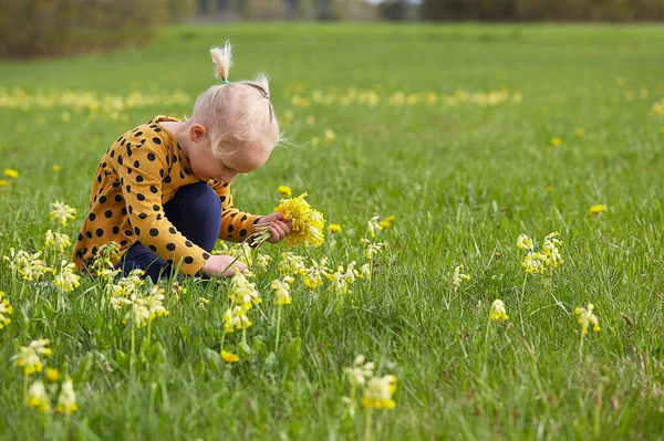 Menina Bonito Campo Selvagem Com Flores Amarelas — Fotografia de Stock