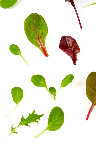 Lettuce Assortment Isolated White Background — Stock Photo, Image