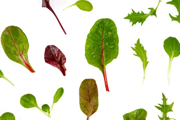 Lettuce Assortment Isolated White Background — Stock Photo, Image