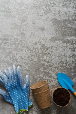 Mavi kürek, bahçe eldivenleri, gri çimento yüzeyinde toprak olan saksı. Ekme konsepti. 