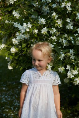 Sevimli 4 yaşındaki kız yasemin çalılarının önünde duruyor.