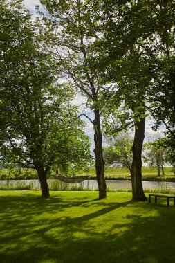 Mükemmel cennet parkı bir yaz gününde