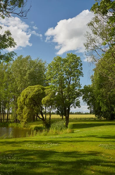 Perfetto Parco Idilliaco Una Giornata Estiva — Foto Stock