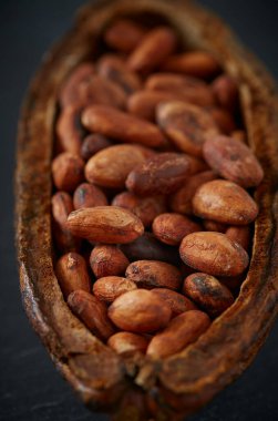 Koyu arkaplanda kakao çekirdekleri