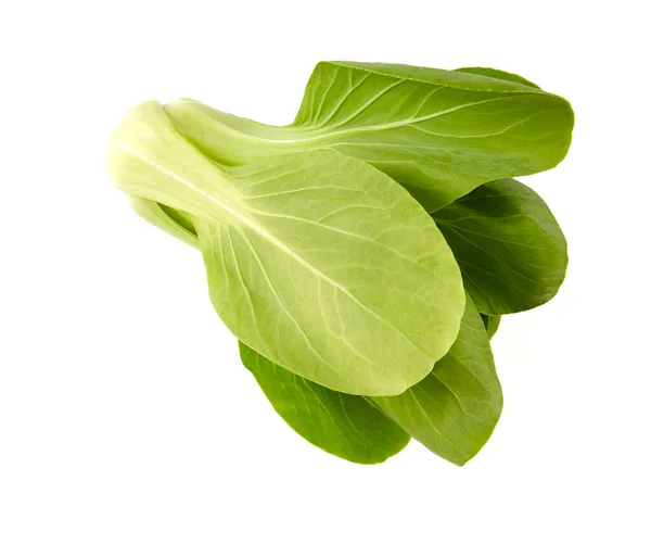 Frischer Pak Choi Kohl Isoliert Auf Weißem Hintergrund — Stockfoto