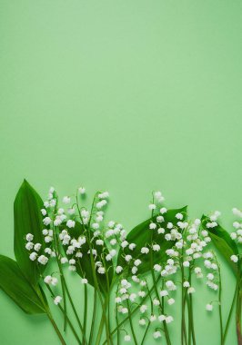 Yeşil yüzeydeki vadi zambakları.