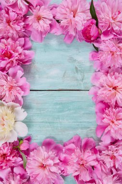 Tahta turkuaz arka planda taze şakayıklar.