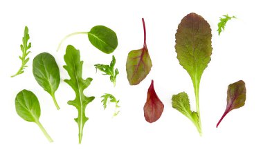 Beyaz arkaplanda çeşitli marul yaprakları