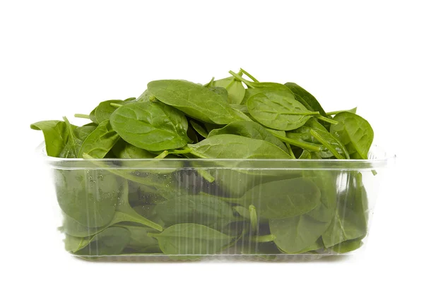 Baby Spinach Isolated White Background — Stock Photo, Image