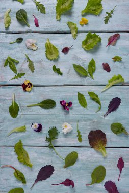 Renkli marul, roka ve ıspanak yaprakları.