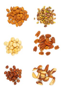 Beyaz arka planda fındık çeşitleri izole edildi. Badem, macadamia, fıstık, fındık, fındık, fındık..