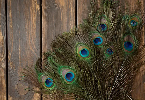Peafowl Feather Wooden Surface — Stock Photo, Image