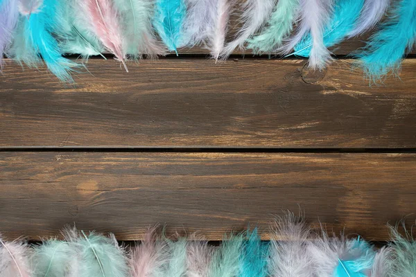 Pastel Colored Feathers Wooden Surface — Stock Photo, Image