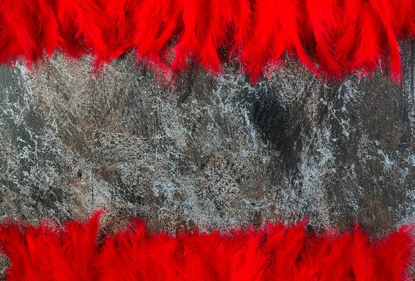 Red Feathers Stone Surface — Stock Photo, Image