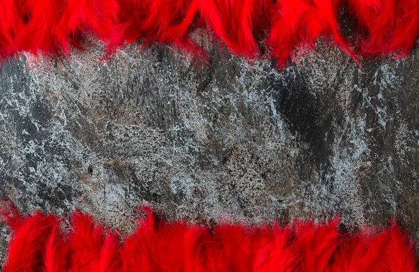 Red Feathers Stone Surface — Stock Photo, Image