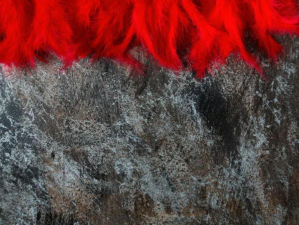Red Feathers Stone Surface — Stock Photo, Image