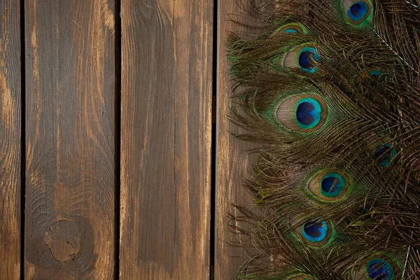 Peafowl Feather Wooden Surface — Stock Photo, Image