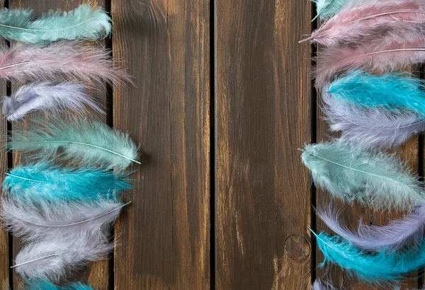 Pastel Colored Feathers Wooden Surface — Stock Photo, Image