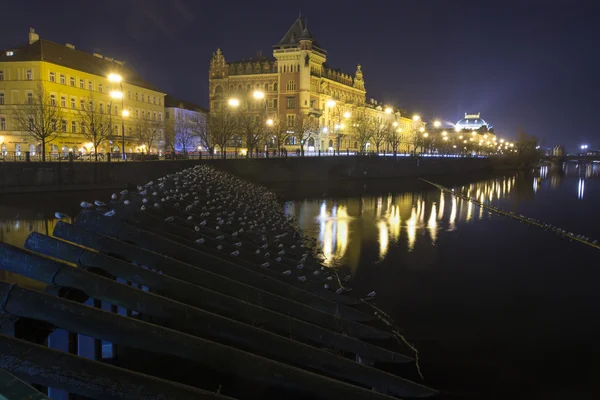 Prague, Çek Cumhuriyeti