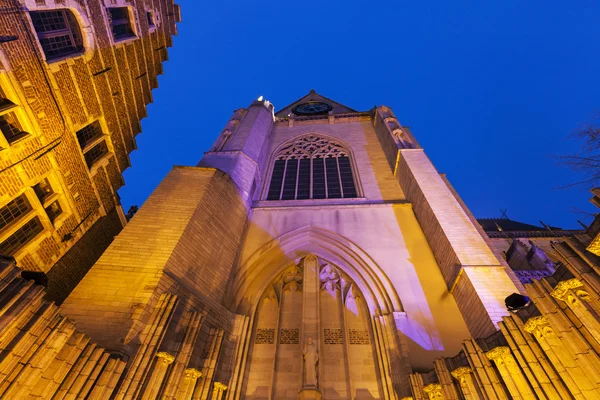 루벤에서 성 베드로 교회 — 스톡 사진