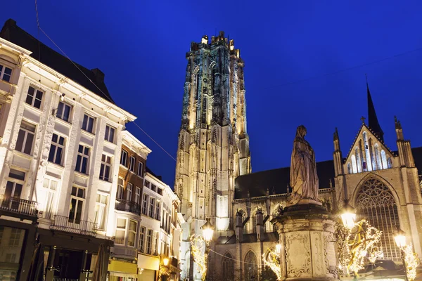 Saint Katedra w Mechelen — Zdjęcie stockowe