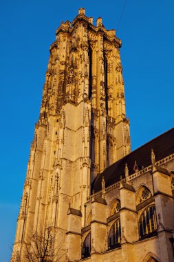 Saint Öztuna'nın Cathedral Mechelen civarındaki