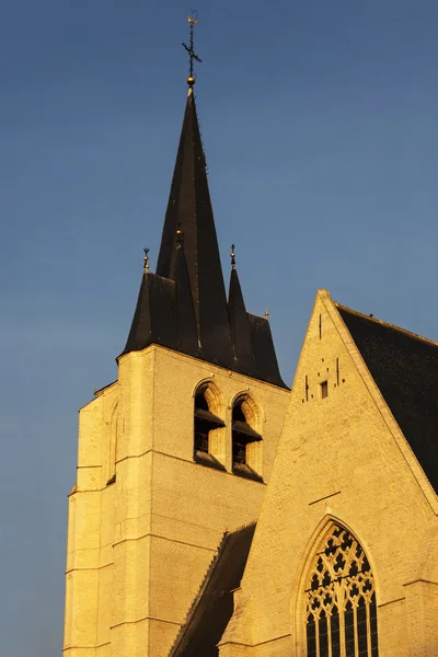 Церква Святого Іоанна в Мехелен — стокове фото
