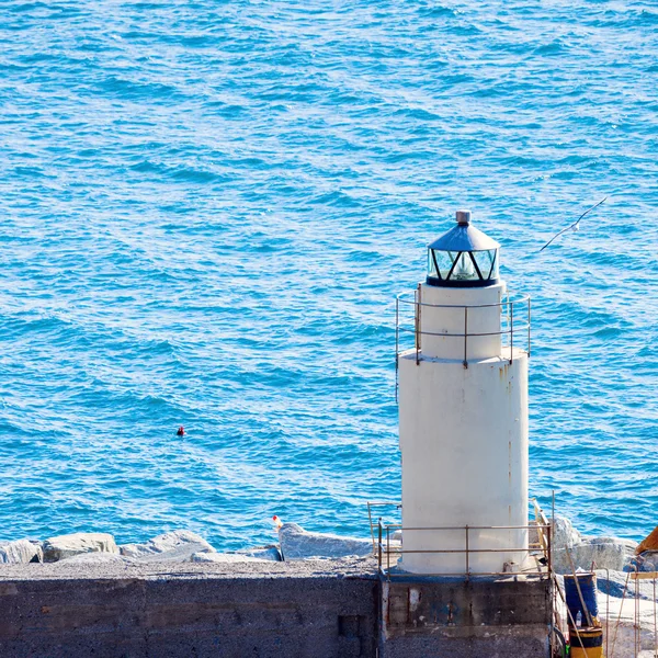 Faro de Camogli y el mar —  Fotos de Stock